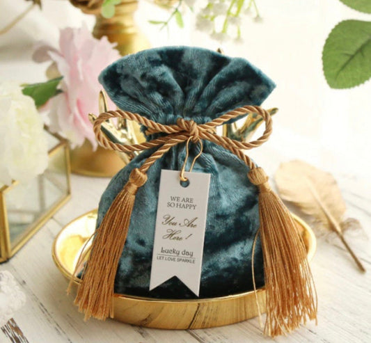 Blue velvet bag Luxury- Design 262
